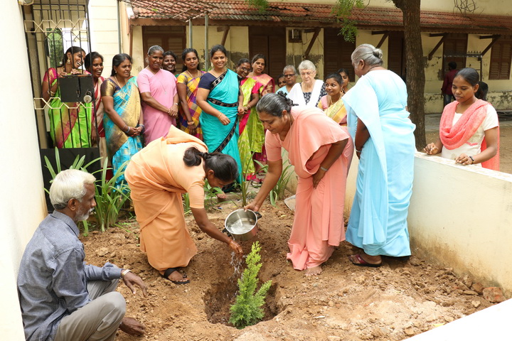 Group planting a tree