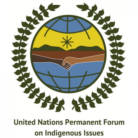 Logo of the UN Permanent Forum on Indigenous Issues